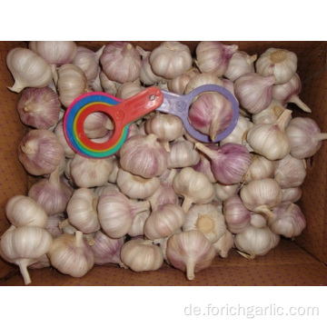 Verschiedene Größen Normaler weißer Knoblauch New Crop 2019